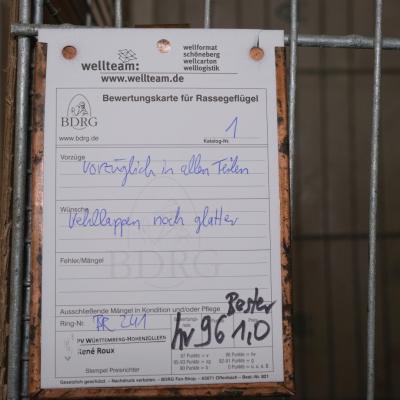 2023 12 03 0010 Gkf Lokalschau Hd Web