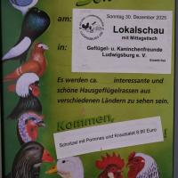 2025 11 30 101 Gkf Lokalschau Hd Web