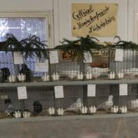 2025 11 30 114 Gkf Lokalschau Hd Web