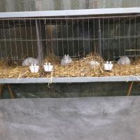 2025 11 30 120 Gkf Lokalschau Hd Web